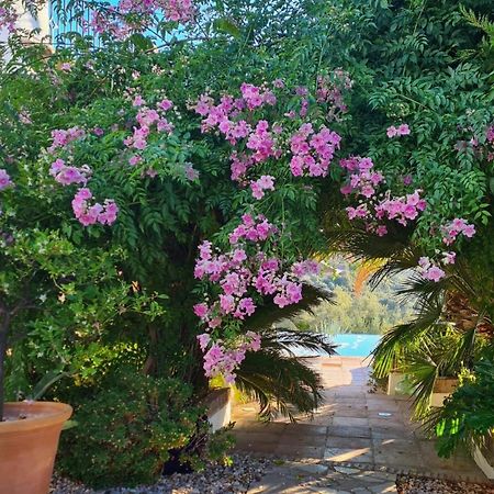 Bed and Breakfast Cortijo La Haza Иснахар Экстерьер фото