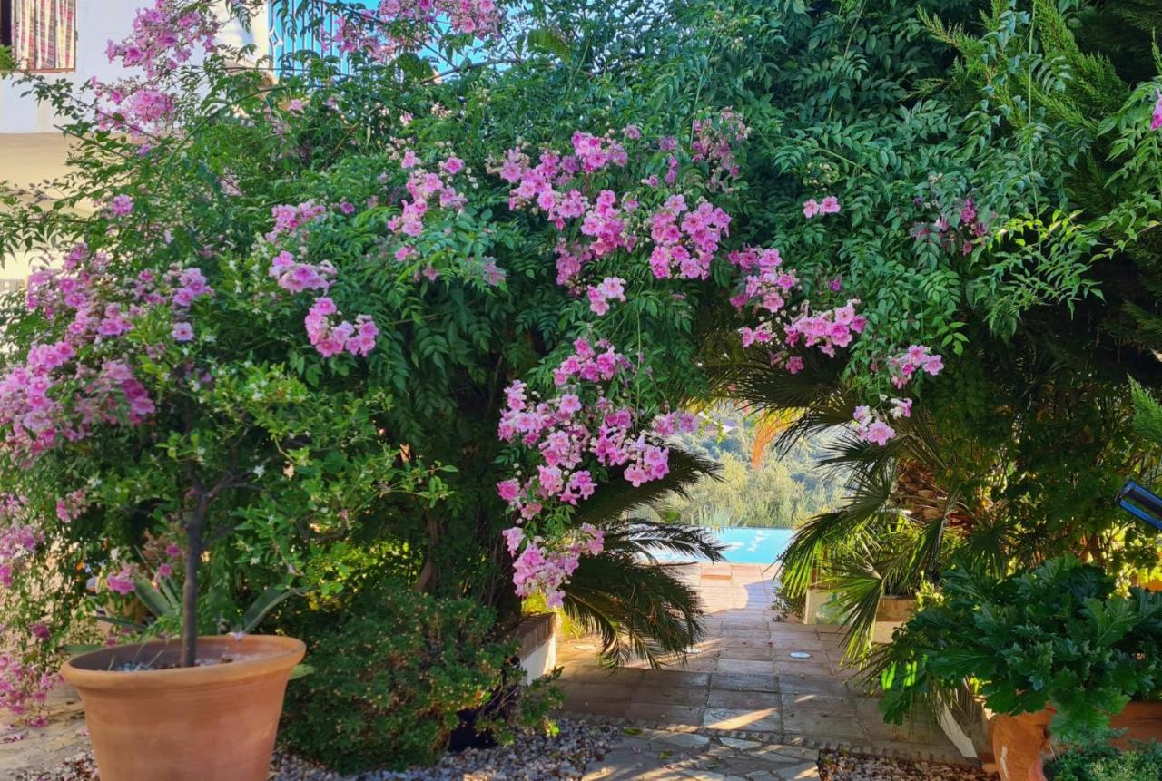 Bed and Breakfast Cortijo La Haza Иснахар Экстерьер фото