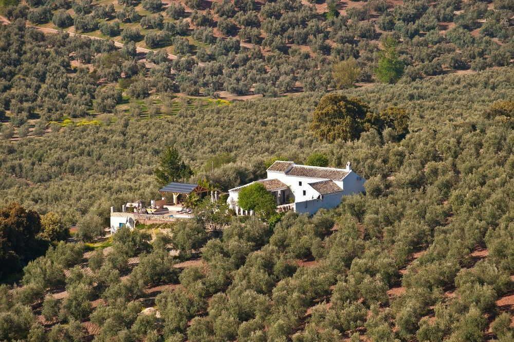 Bed and Breakfast Cortijo La Haza Иснахар Экстерьер фото